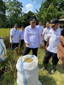 Lakukan penataan anggaran APBD, Pemkab Tanggamus lakukan Struktur APBD yang lebih baik, sehat dan rasional.