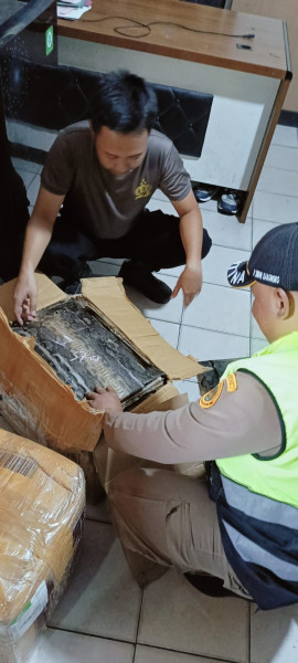 Paket Kiriman Berisi Kulit Ular dan Biawak Gagal Diselundupkan di Bakauheni